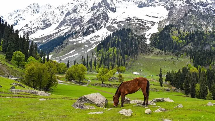 Betaab Valley