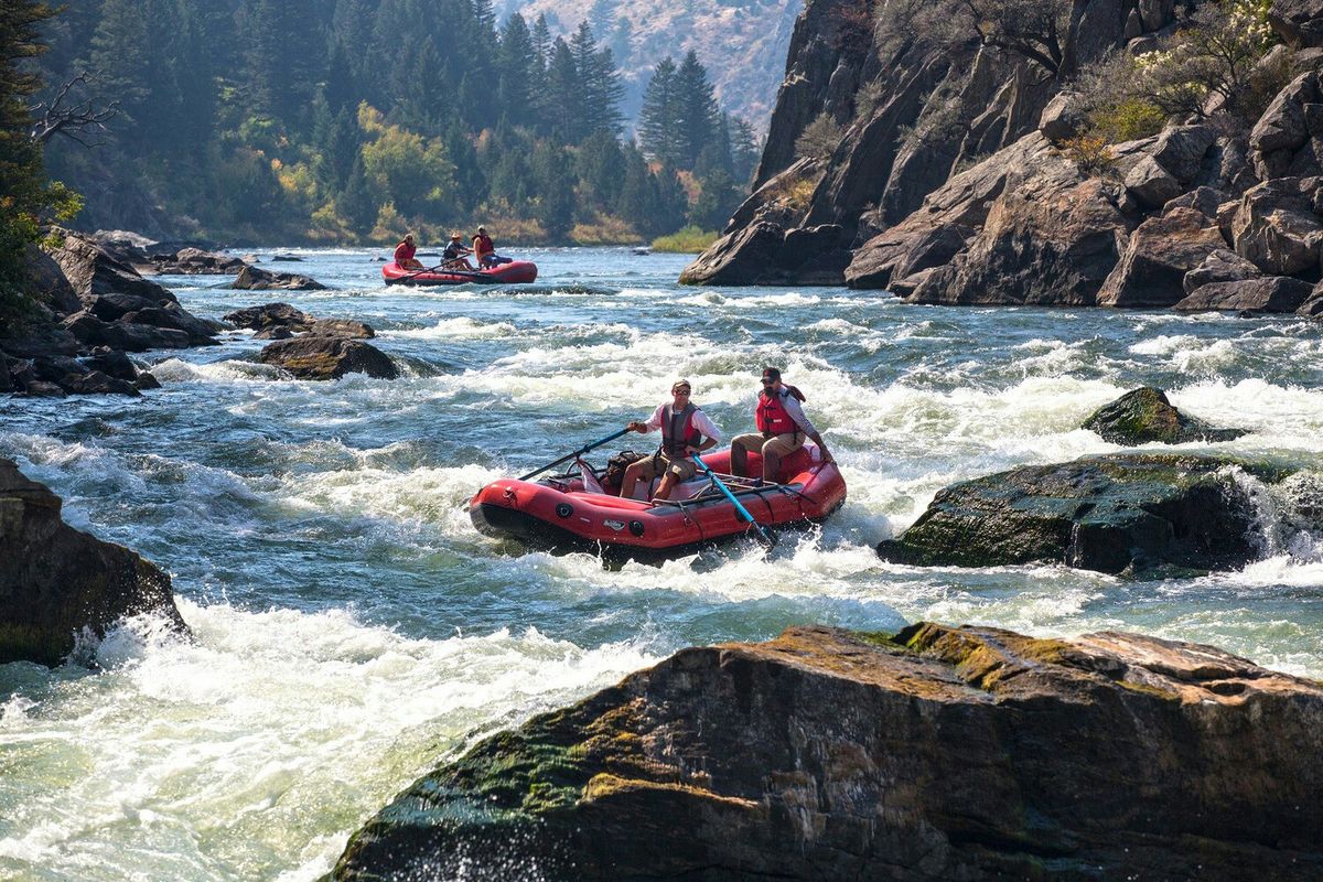 Kufri Excursion & Departure
